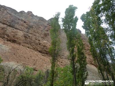 Hoces Río Duratón - Villa Sepúlveda; senderismo nivel alto hiking free